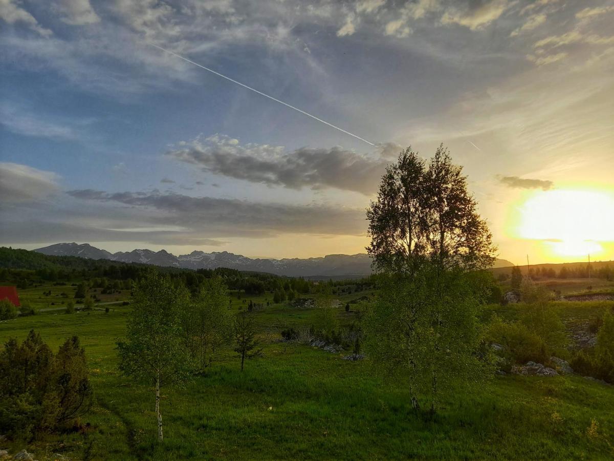 Villa Breza Žabljak Eksteriør billede